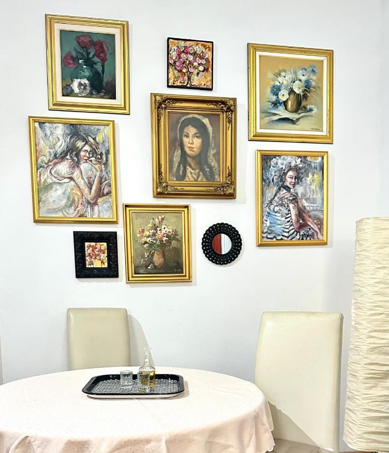 Charming Apartament City Center 蒂米什瓦拉 外观 照片
