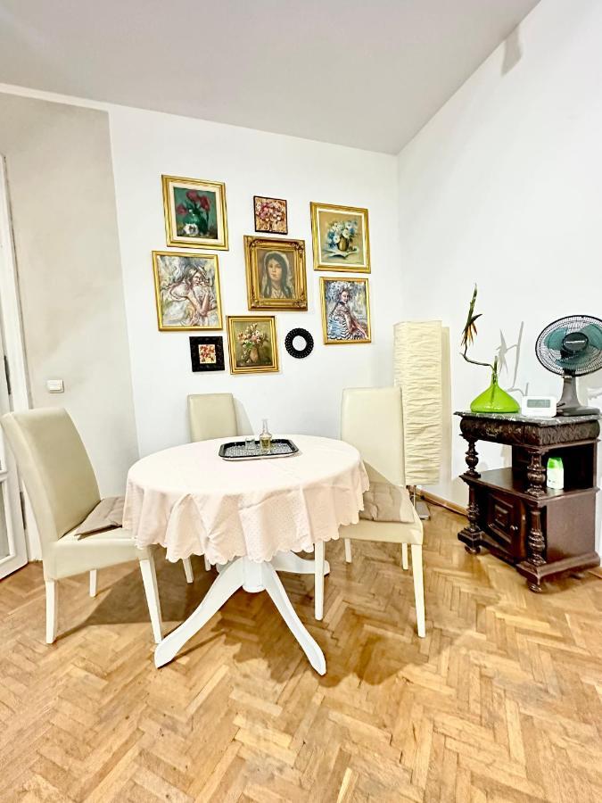 Charming Apartament City Center 蒂米什瓦拉 外观 照片