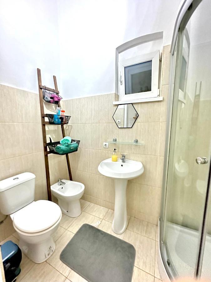 Charming Apartament City Center 蒂米什瓦拉 外观 照片