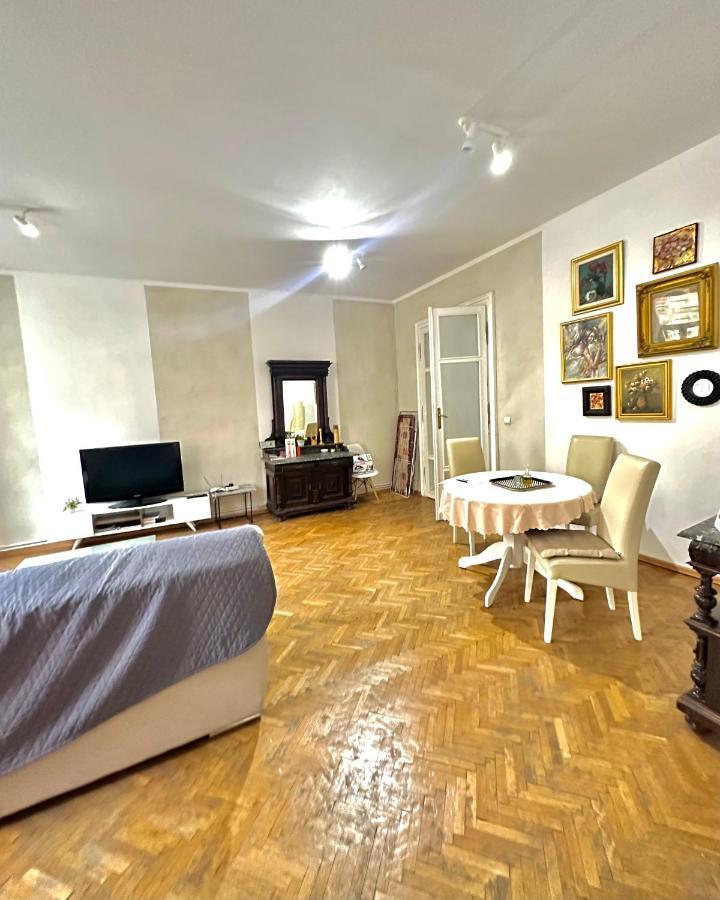 Charming Apartament City Center 蒂米什瓦拉 外观 照片